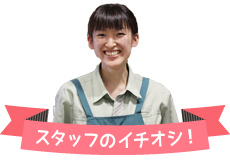 スタッフのイチオシ！