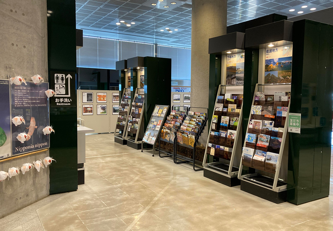 観光情報コーナー