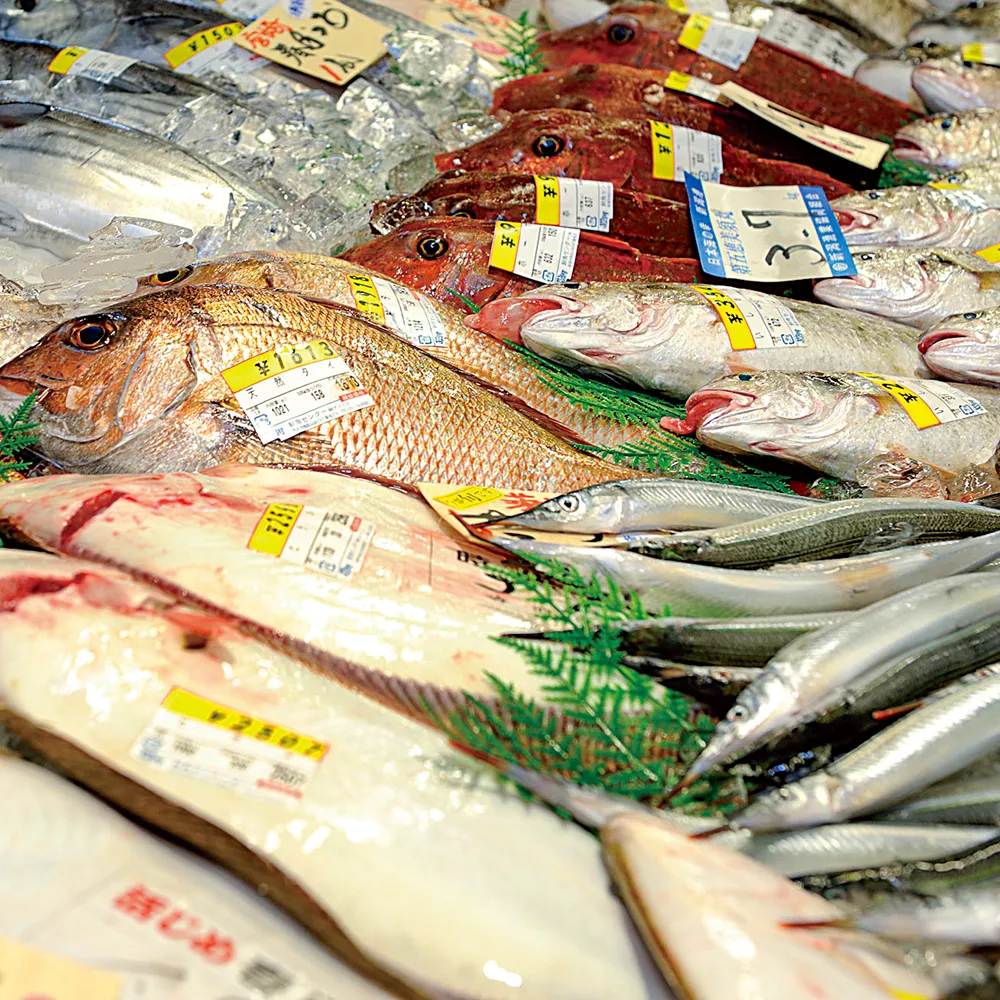 鮮魚センター「マリーン」