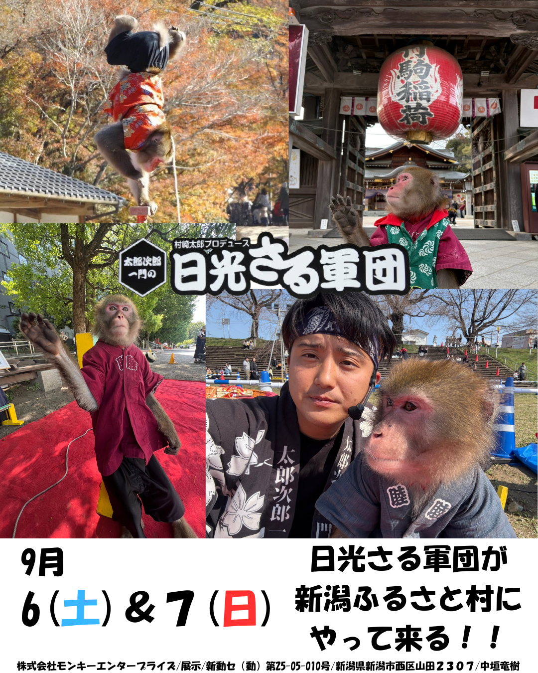 伝統芸能 猿まわしパフォーマンス