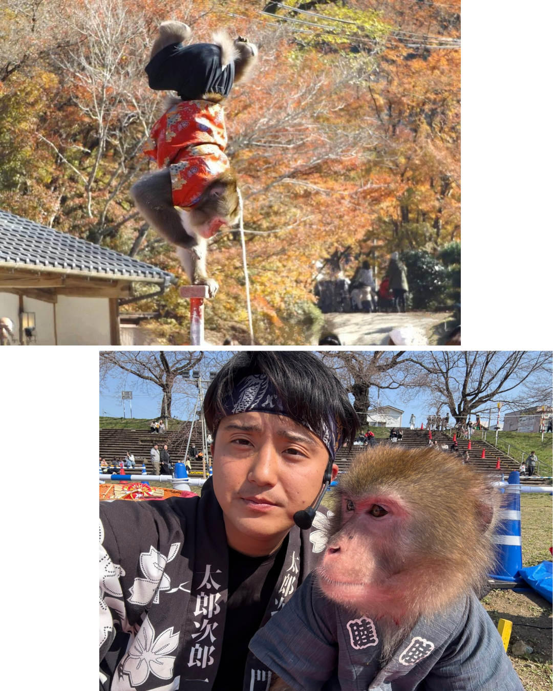 伝統芸能 猿まわしパフォーマンス