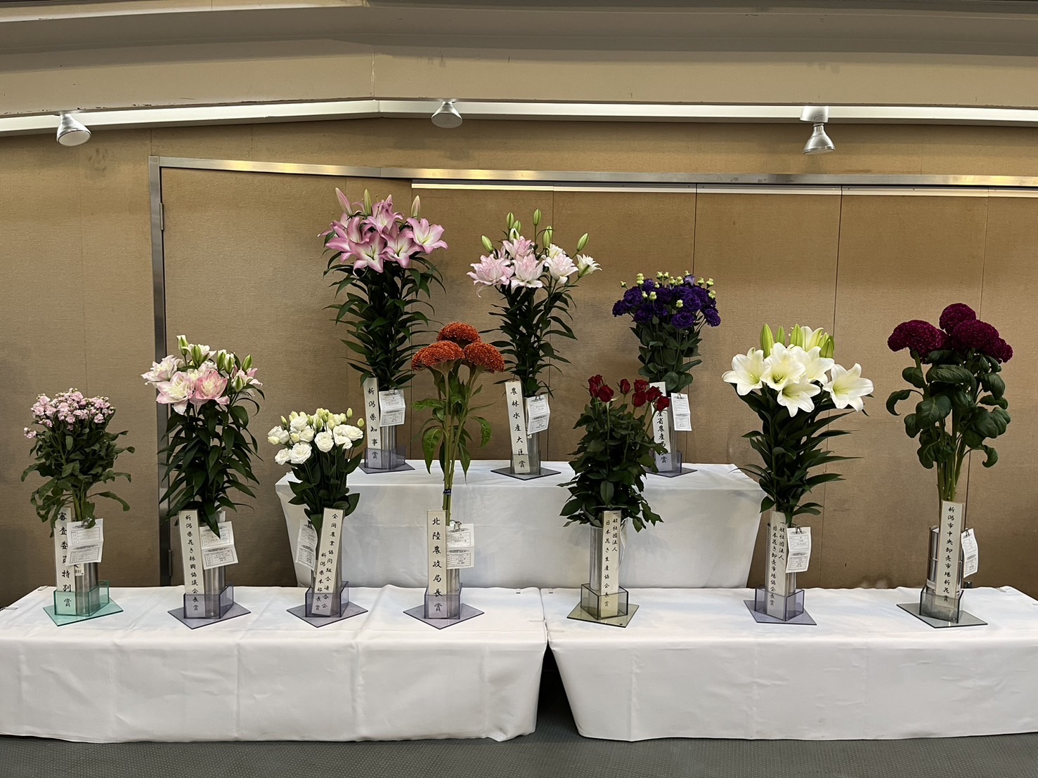 令和７年度新潟県花きコンテスト　切花共進会の部