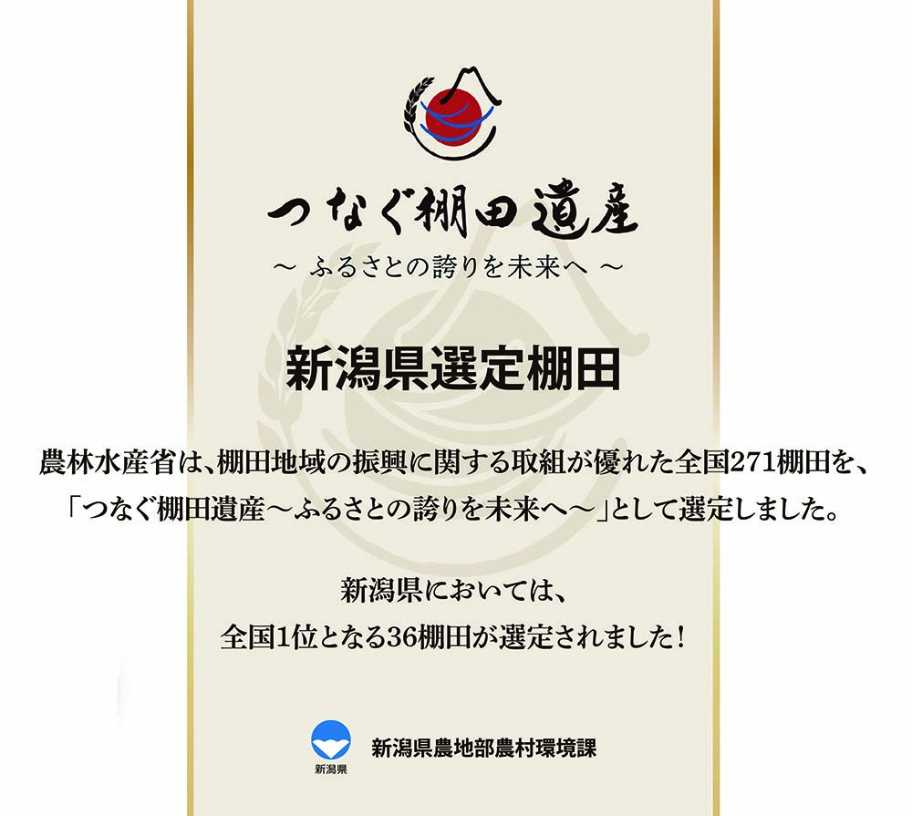 ファイブワン いいね!新潟館 特別展示