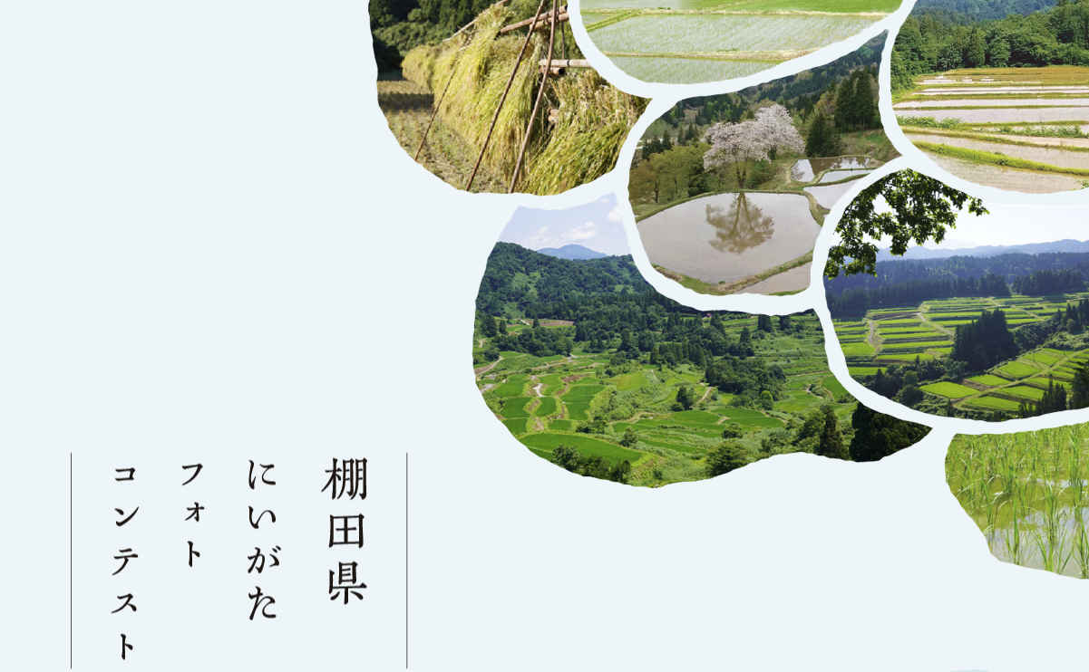 棚田県にいがたフォトコンテスト応募作品展
