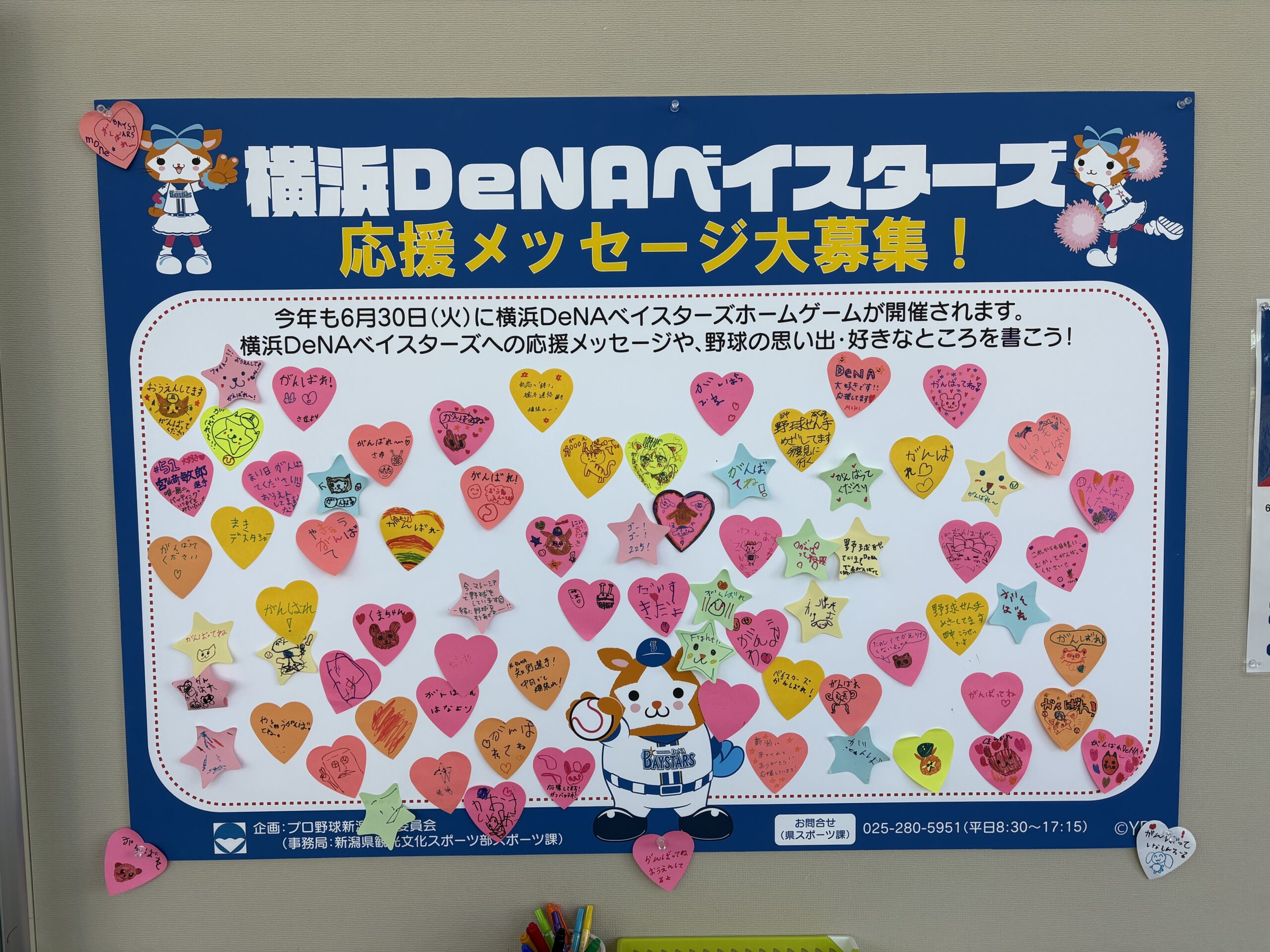 プロ野球公式戦 新潟開催応援メッセージ募集