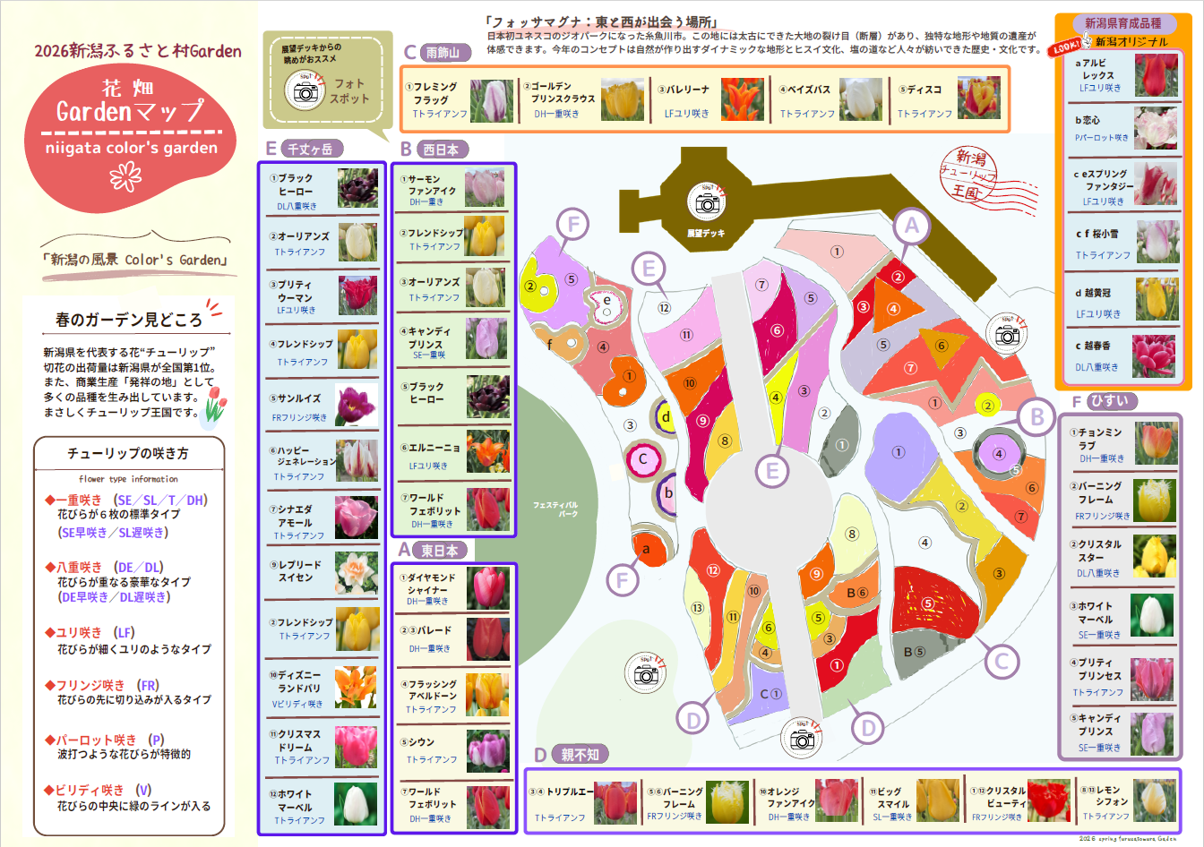 チューリップフェスティバル