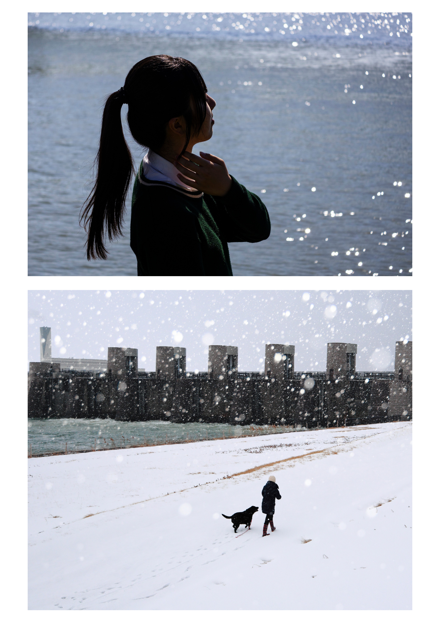令和７年度「信濃川・大河津分水写真コンテスト」入賞作品展
